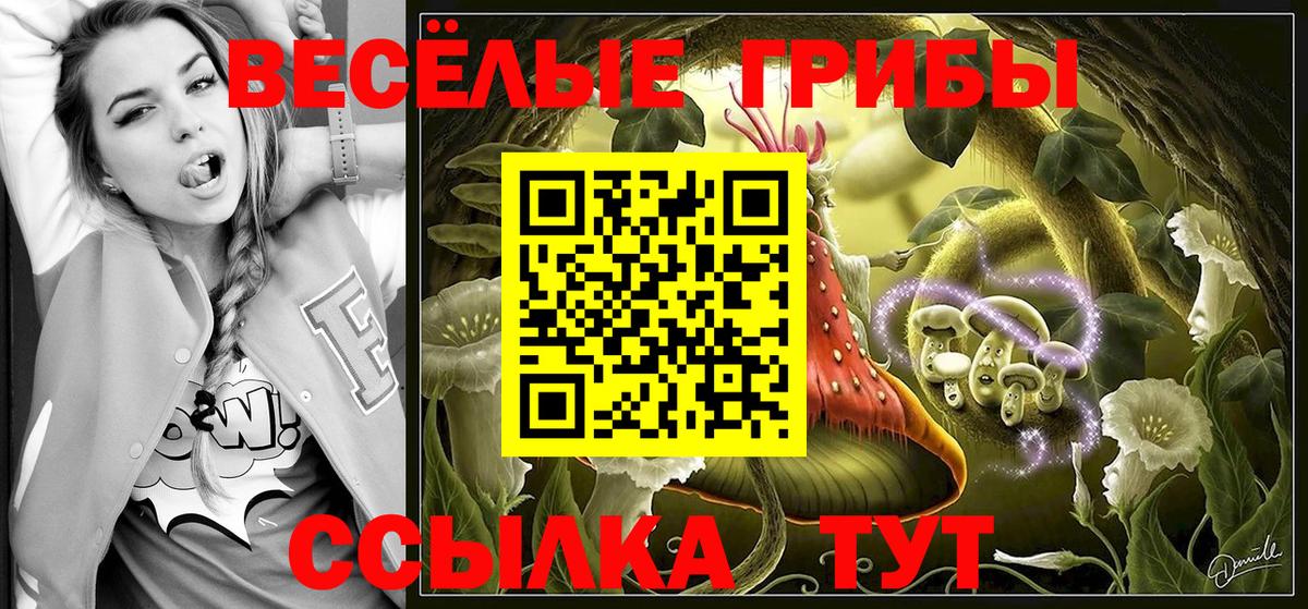 Краснознаменск  что такое   Вход с VPN  Псилоцибиновые грибы Psilocybine cubensis 